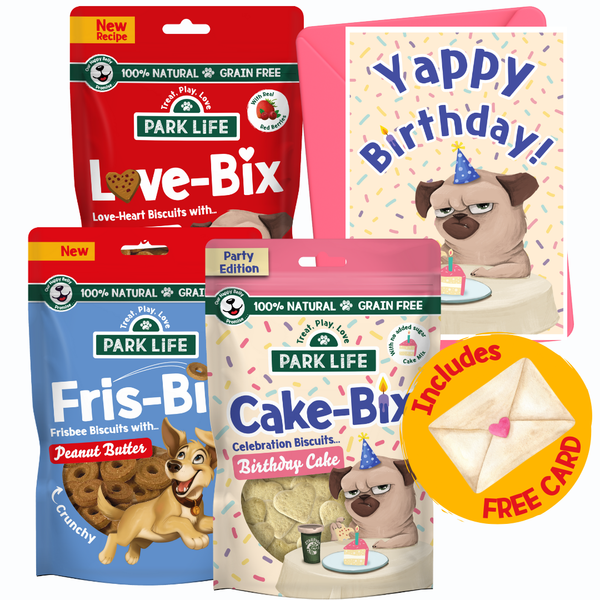 Birthday Treat Gift Bundle + Free Card