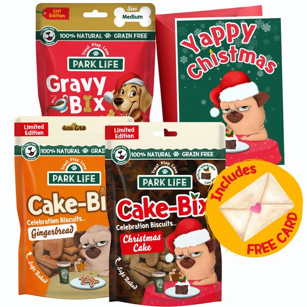 Christmas Treat Gift Bundle + Free Card