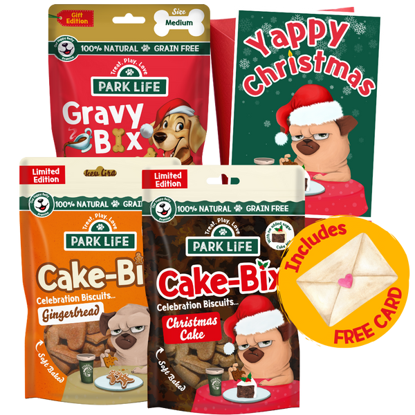 Christmas Treat Gift Bundle + Free Card