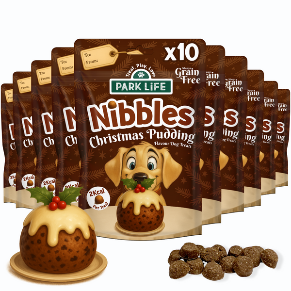 Nibbles Christmas Pudding 100g 10 PACK