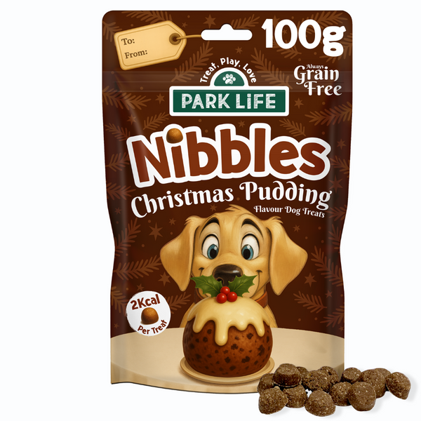 Nibbles Little Rewards Christmas Pudding 100g Single