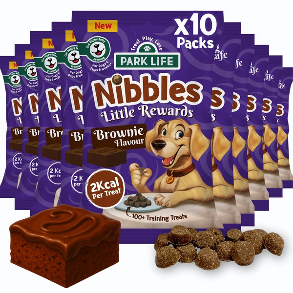10 PACK Nibbles Brownie Flavour 80g