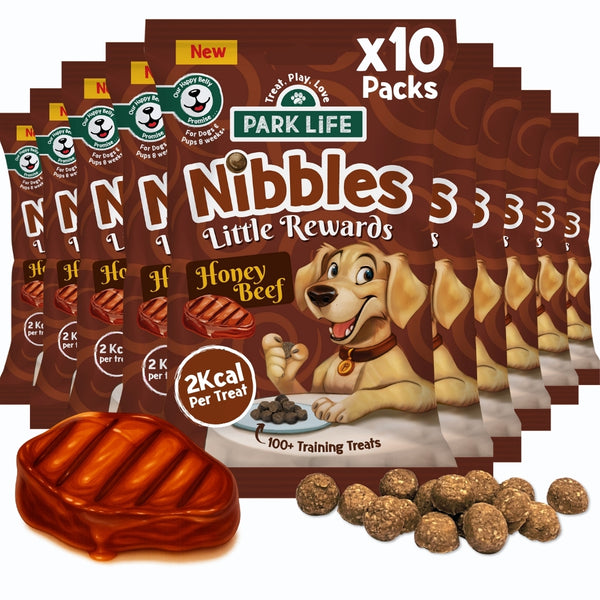 10 PACK Nibbles Honey Beef Flavour 80g