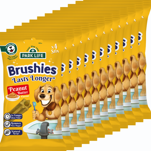 12 PACK Brushies Peanut Butter 80g