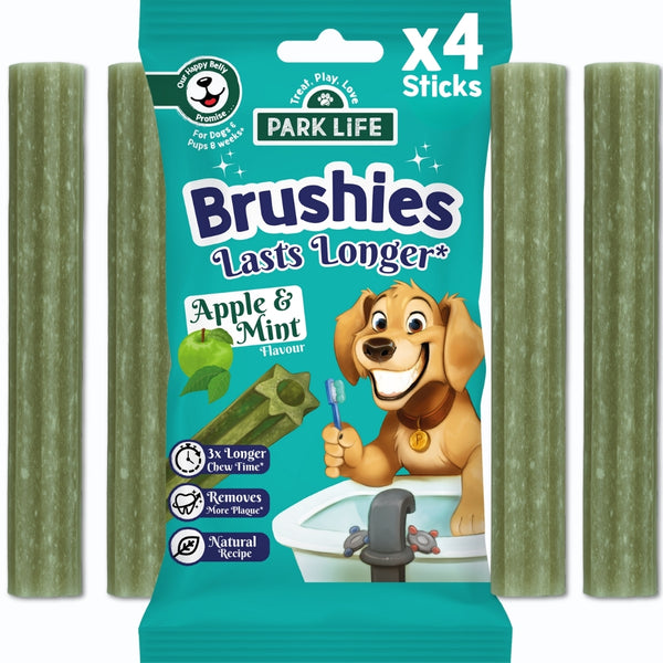 SINGLE PACK Brushies Apple & Mint 80g