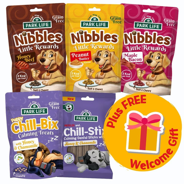 Puppy Variety Bundle