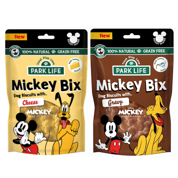 Mickey -Bix TikTok 2pk
